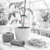 Tuteurs, liens et raphia : attacher ses plantes sans les étrangler