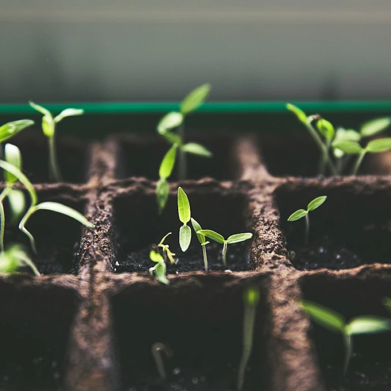 Optimisez votre jardin avec une tondeuse à 3 points de 180 cm