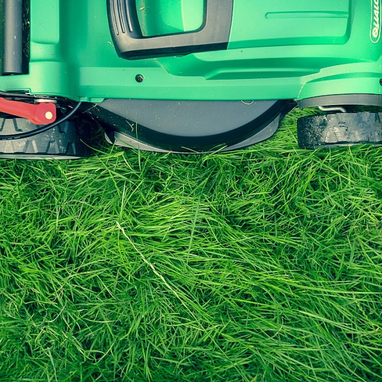 Comprendre le coût d'un oignon : un regard approfondi sur le jardinage