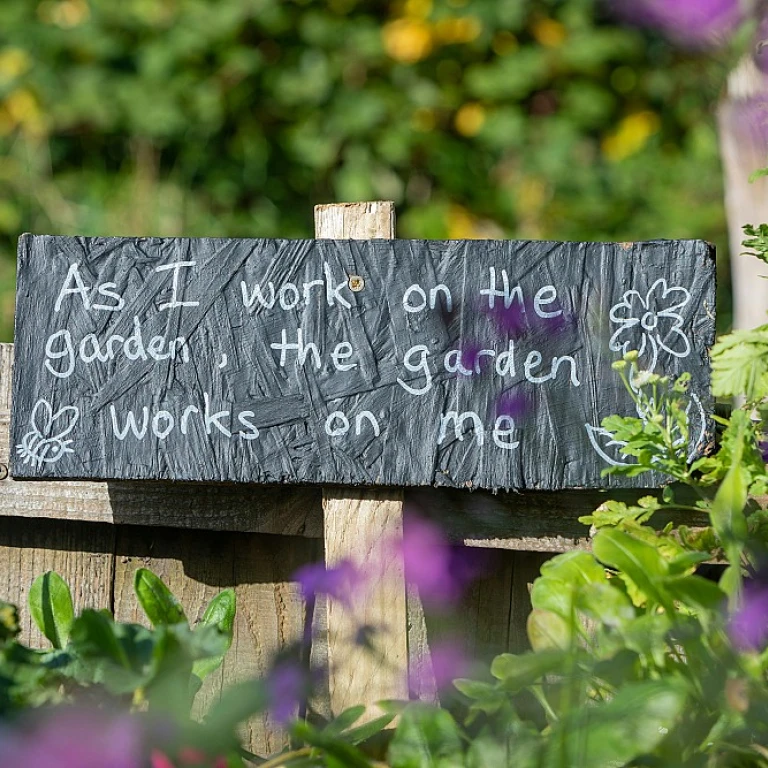 L'élégance d'une pergola en fer forgé artisanal