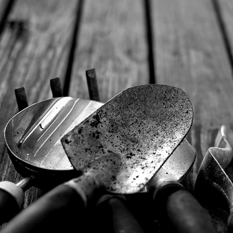 Les secrets d'un barbecue Weber Genesis pour un jardin parfait