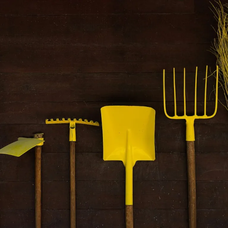 Pourquoi choisir un râteau Bahco pour entretenir votre jardin