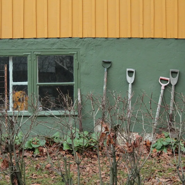 Pourquoi choisir un râteau Wolf-Garten pour entretenir son jardin