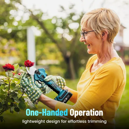 81nQLAd11bL._AC_SL1500_