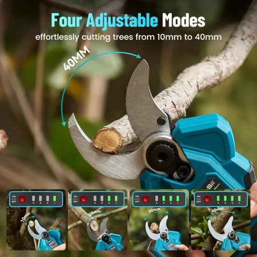 815rOD-5OuL._AC_SL1500_