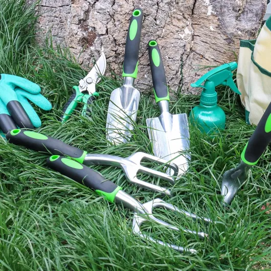 91wFEh9tYUL._AC_SL1500_