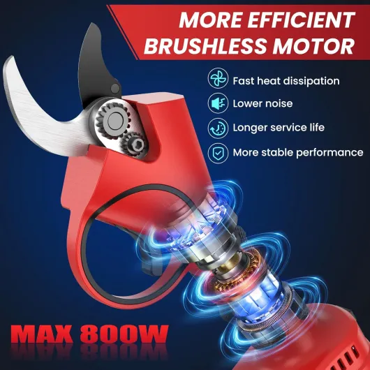 71OJnQo OcL._AC_SL1500_