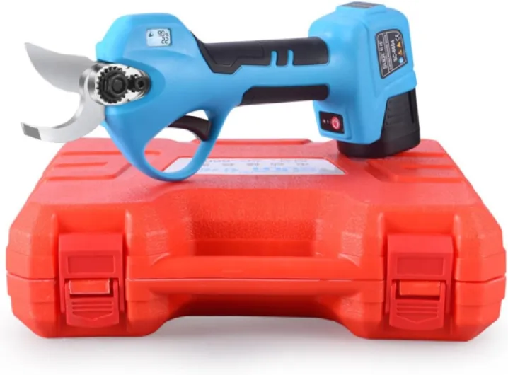 61tStrrvTyL._AC_SL1500_