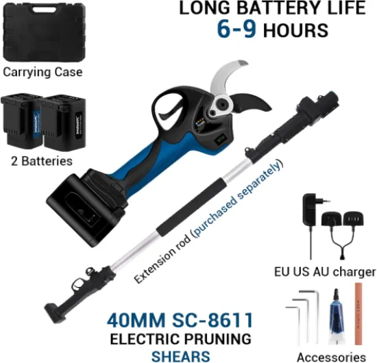 71b53LOB4nL._AC_SL1500_