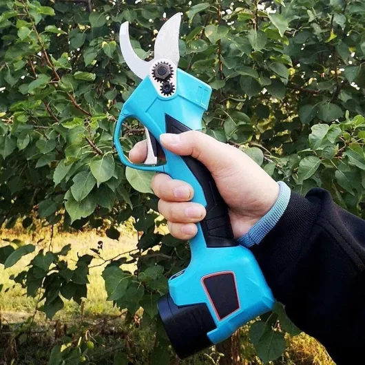 81RMIBvWS0L._AC_SL1500_