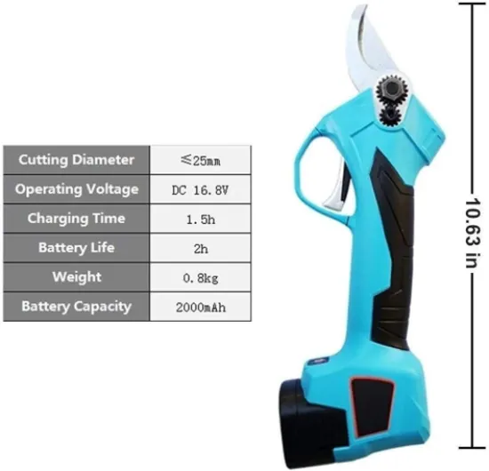 619r1q67XpL._AC_SL1500_