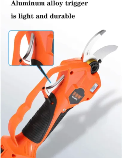 71vR-MNWaXL._AC_SL1500_