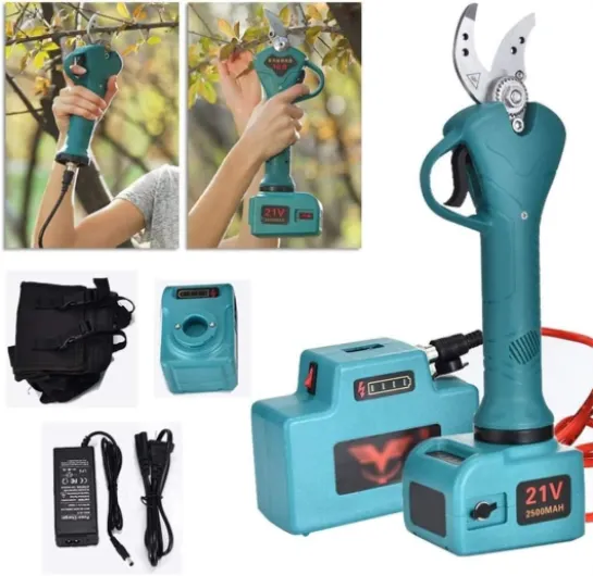 61 qP6GV4KL._AC_SL1024_