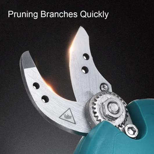 71CaZPwWe0L._AC_SL1024_