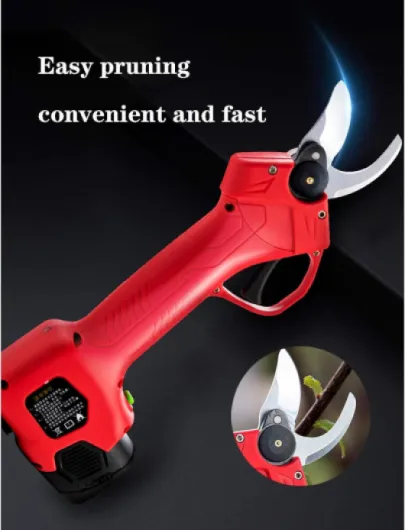 71P7SY1J8FL._AC_SL1500_