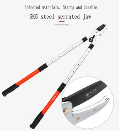 71v -uKlH2S._AC_SL1500_