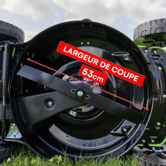 61Je2F4FVyL._AC_SL1000_