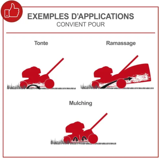 Tondeuse à Gazon Thermique MS161-46 - Autotractée - Moteur 4T de 150cm3 - Largeur de Coupe 46cm - Transmission Pro - Panier de 55 litres - Ejection Latérale & Fonction Mulching Solo