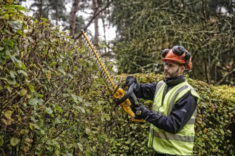 Taille-Haies 18V XR 55cm, Machine Seule, DCMHT563N-XJ Unique