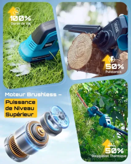 818bNxKuWyL._AC_SL1500_