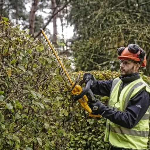 Test DEWALT DCMHT563N-XJ : le taille-haies 18V qui fait le job sans se ruiner les bras