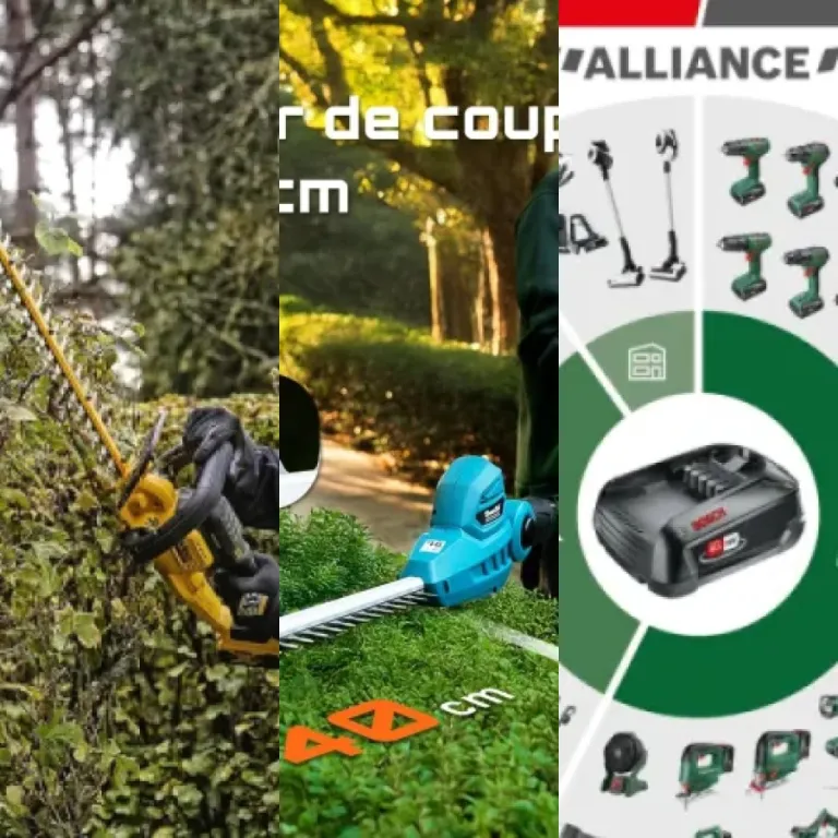 Top 27 : meilleurs taille-haies à batterie (2026)