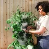 Bien choisir et utiliser un taille haie Ryobi pour des haies nettes et saines