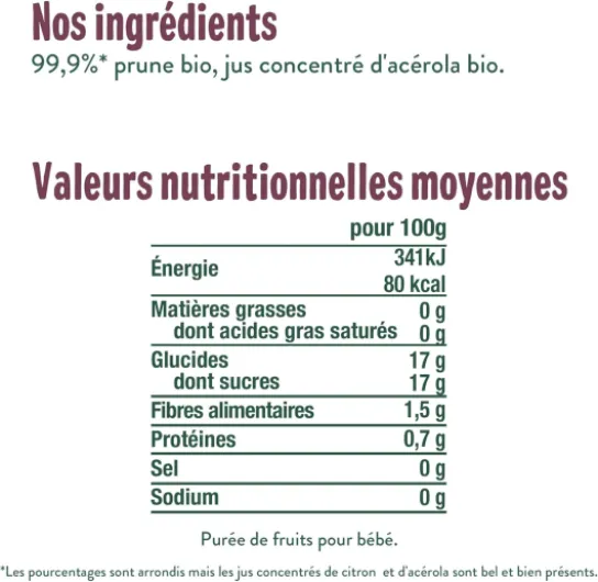 GOOD GOÛT - Gourdes Prune - Purée Bébé - Dès 4 Mois - 99,9% Prune - Sans Sucres Ajoutés - Fabriqué En France - 10x120g