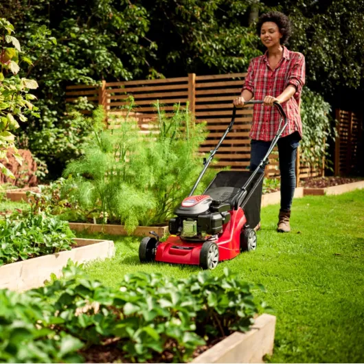 Mountfield Tondeuse Rotative HP41, 123 cm³, 39 cm – Bac 40 l, Châssis Polypropylène Léger – Jardins jusqu'à 20 m x 20 m Propulsé à la