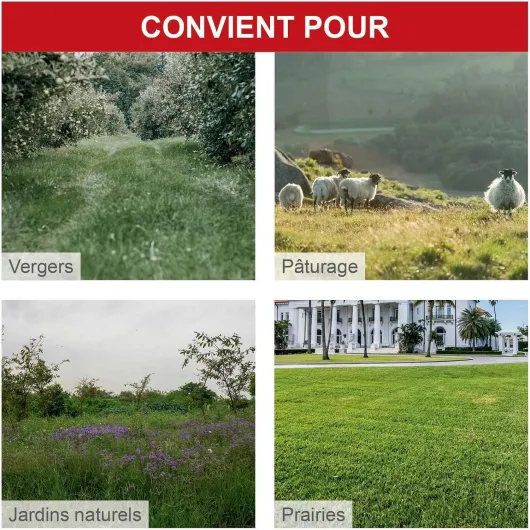 Tondeuse débroussailleuse à Gazon à Essence WMP161-56 - 800 m²/h - Largeur de Coupe 56 cm - 4,1 CV / 3 KW - Hauteur réglable 40-95 mm - avec 10 Fils de Rechange