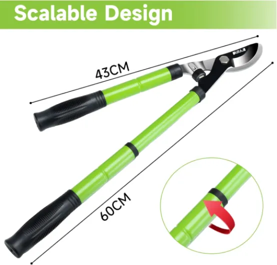 61CDFM8BLKL._AC_SL1500_