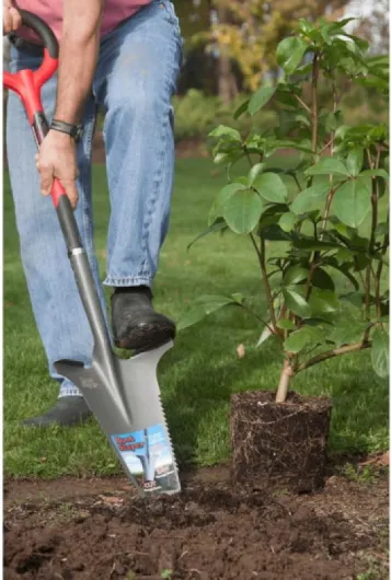 Rootslayer VENTEO - Pack robuste noir - Adulte - Jardin - Poignée solide