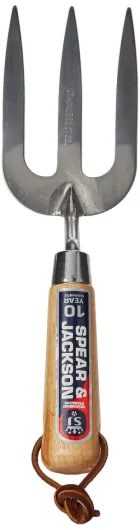 61MMi5do6iS._SL1500_