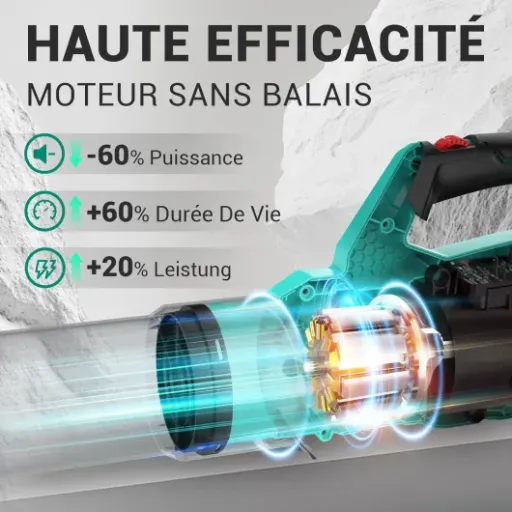 Test DCA Souffleur de Feuilles 20V : léger, pratique, mais pas une tornade
