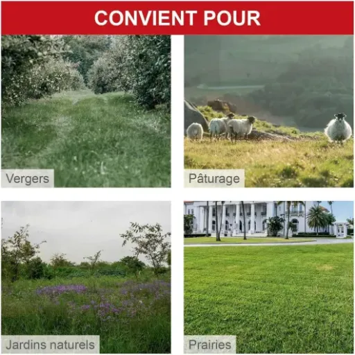 Test Scheppach WMP161-56 : la débroussailleuse à roues qui remplace (presque) le tracteur sur terrain galère