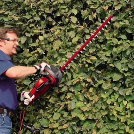 Test Einhell GE-EH 6560 : un taille-haies filaire costaud qui fait le job sans chichi
