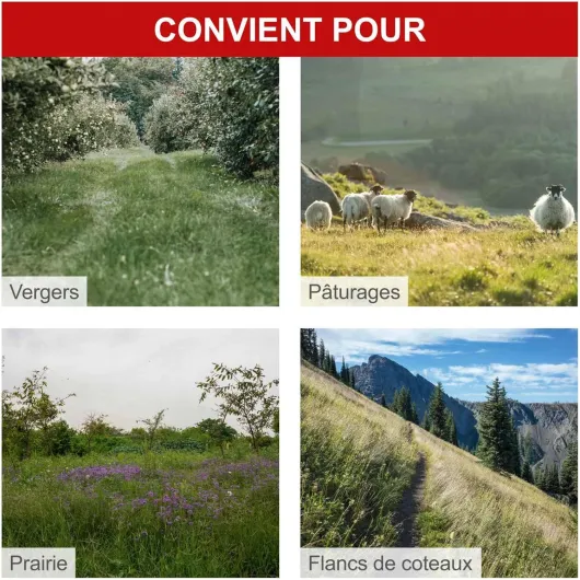 Tondeuse à Barre de Coupe BMS196-88 – Motofaucheuse – Moteur à Essence 4 Temps 5,7 CV – 4,2 KW – Largeur de Coupe 88 cm – Hauteur de Coupe 30-60 mm – Démarreur à câble – Jardins de 3000 m²