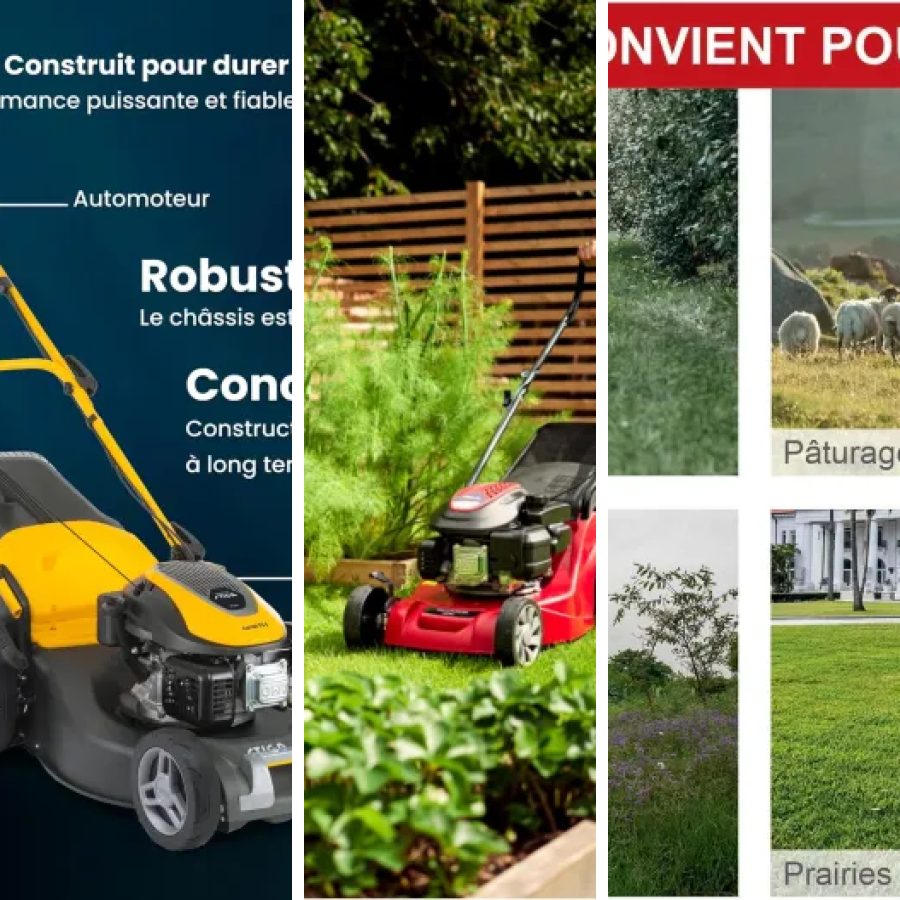 Les meilleurs tondeuses thermiques : notre top 11 (2026)