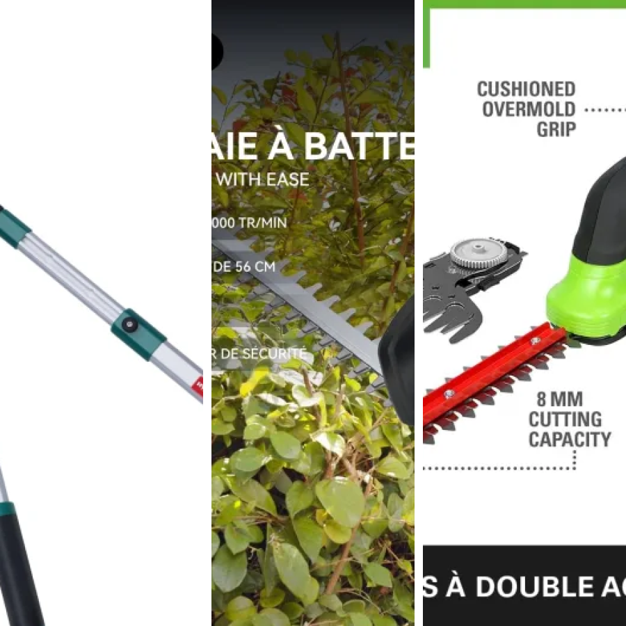 6 meilleurs cisailles à haies : notre comparatif (2026)