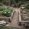 Le jardin zéro chimie après la loi Labbé renforcée : ce qui marche, ce qui coince