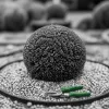 Tailler un arbuste en boule sans gabarit : la technique qui pardonne les erreurs