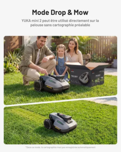 81Sxt--8PxL._AC_SL1500_
