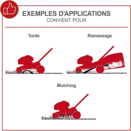 Test Scheppach MS225-56 : une grosse thermique pas chère qui envoie, mais pas sans défauts