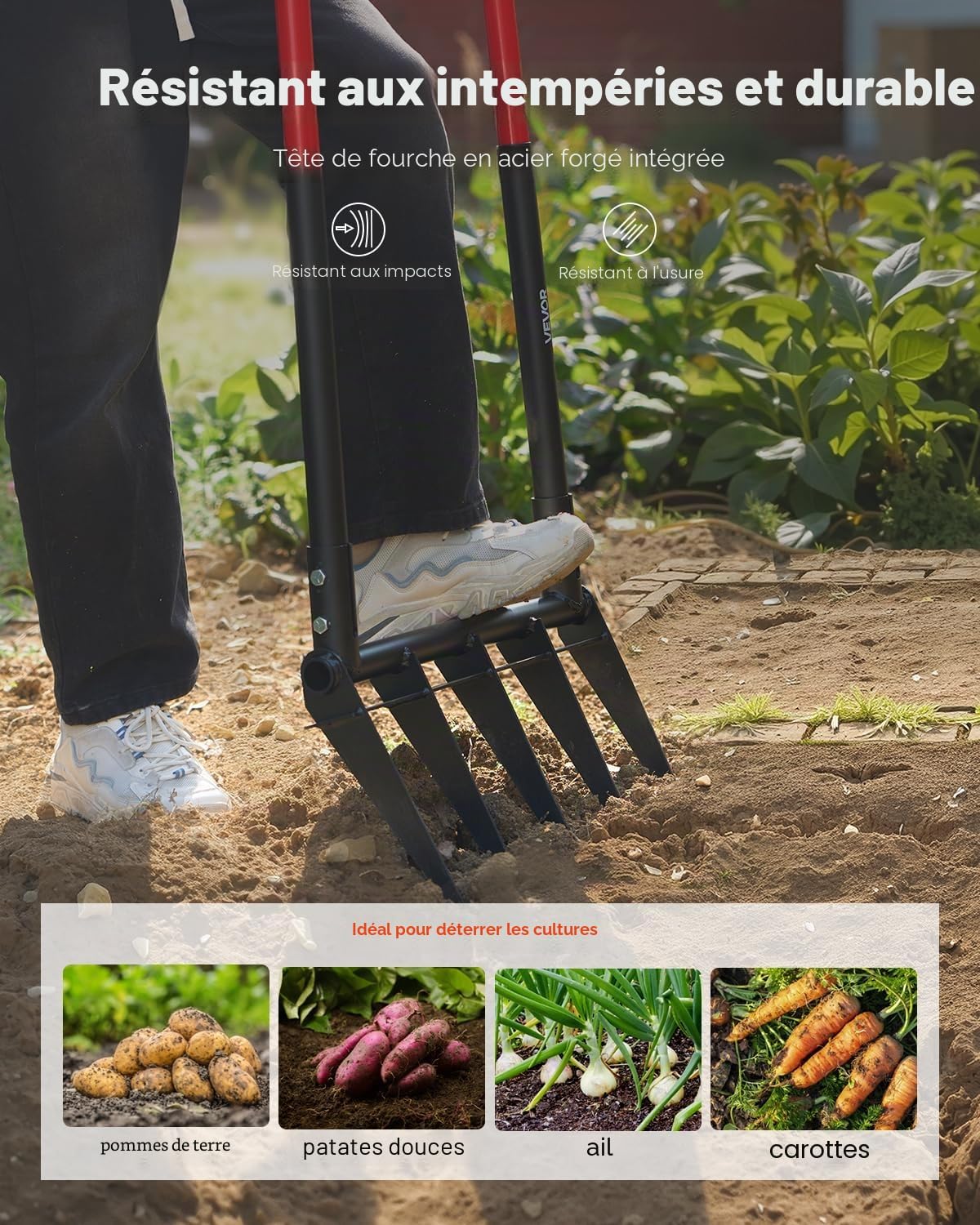 Grelinette à 5 Dents, Fourche à Bêcher avec Double Manche en Fibre de Verre, Fourche de Jardin Large Robuste en Forme de U, Outil pour Jardinage, Compostage, Transplantation, Aération de Terre 5-Tine-U Poignée en fibre de verre et fourche en acier