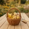 Récoltes d'été au potager : les bons gestes avec couteau, sécateur et panier pour ne rien gâcher
