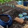 Préparer sa parcelle de potager en août : les étapes qui font gagner six semaines à l'automne